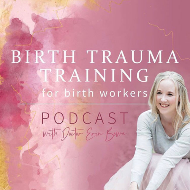 birth trauma training for birthworkers